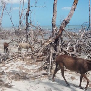 Pacote Rota das Emoções 7 dias 6 noites 20/09/2026 a 26/09/2026